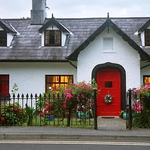  Bed and breakfast Ivy Irlanda